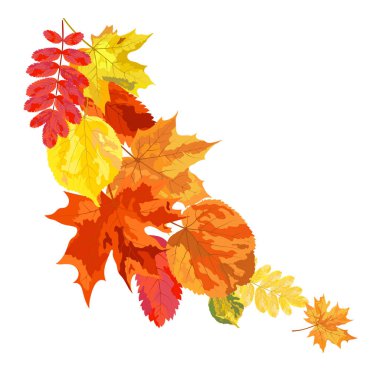 Beyaz Arkaplanda Rüzgar Yaprakları Olan Sonbahar Çerçevesi. Zarif Tasarım. Vektör İllüstrasyonu.