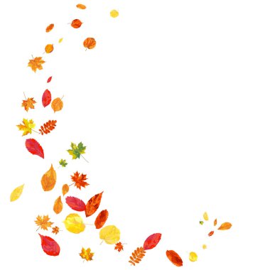 Autumn  Frame With Blowing Leaves  Over White Background. Elegant Design. Vector Illustration. clipart