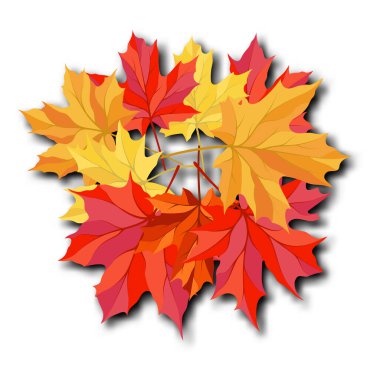 Sonbahar yaprakları buket şablonu, alışveriş için sıcak renk akçaağaç yapraklarıyla dekore edilir. Ya da tanıtım afişi ve web afişi. Vektör illüstrasyonu.