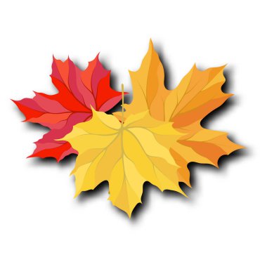 Sonbahar yaprakları buket şablonu, alışveriş için sıcak renk akçaağaç yapraklarıyla dekore edilir. Ya da tanıtım afişi ve web afişi. Vektör illüstrasyonu.