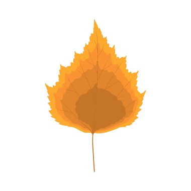 Sonbahar huş ağacı yaprağı. Yaprak düştü. Vektör illüstrasyonu.