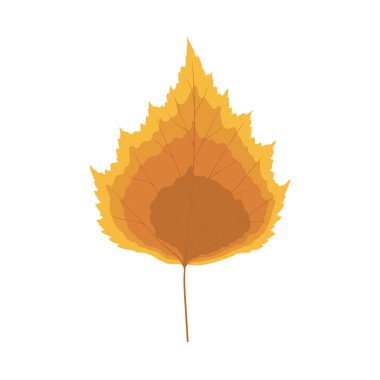 Sonbahar huş ağacı yaprağı. Yaprak düştü. Vektör illüstrasyonu.