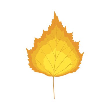 Sonbahar huş ağacı yaprağı. Yaprak düştü. Vektör illüstrasyonu.