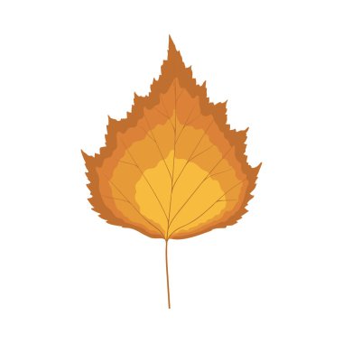 Sonbahar huş ağacı yaprağı. Yaprak düştü. Vektör illüstrasyonu.