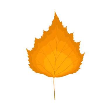 Sonbahar huş ağacı yaprağı. Yaprak düştü. Vektör illüstrasyonu.