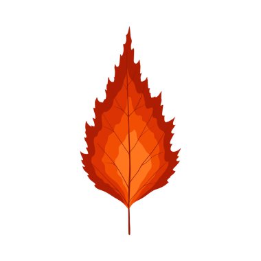 Sonbahar huş ağacı yaprağı. Yaprak düştü. Vektör illüstrasyonu.
