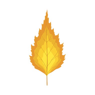 Sonbahar huş ağacı yaprağı. Yaprak düştü. Vektör illüstrasyonu.