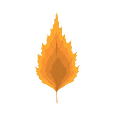 Sonbahar huş ağacı yaprağı. Yaprak düştü. Vektör illüstrasyonu.