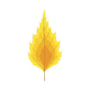 Sonbahar huş ağacı yaprağı. Yaprak düştü. Vektör illüstrasyonu.