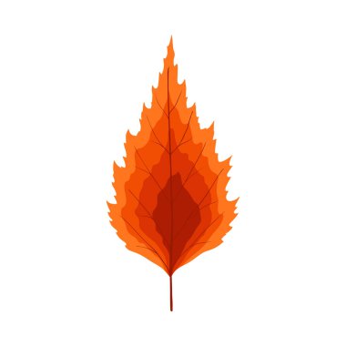 Sonbahar huş ağacı yaprağı. Yaprak düştü. Vektör illüstrasyonu.