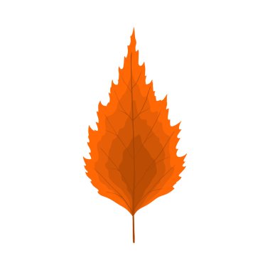 Sonbahar huş ağacı yaprağı. Yaprak düştü. Vektör illüstrasyonu.