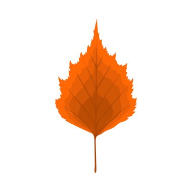 Sonbahar huş ağacı yaprağı. Yaprak düştü. Vektör illüstrasyonu.