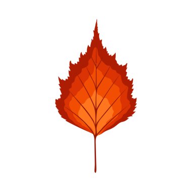 Sonbahar huş ağacı yaprağı. Yaprak düştü. Vektör illüstrasyonu.