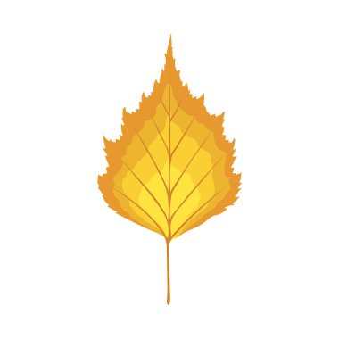 Sonbahar huş ağacı yaprağı. Yaprak düştü. Vektör illüstrasyonu.