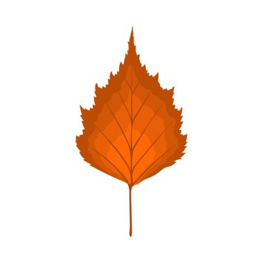 Sonbahar huş ağacı yaprağı. Yaprak düştü. Vektör illüstrasyonu.