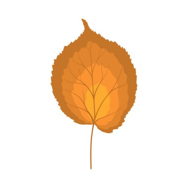 Sonbahar ıhlamur yaprağı. Yaprak düştü. Vektör illüstrasyonu.