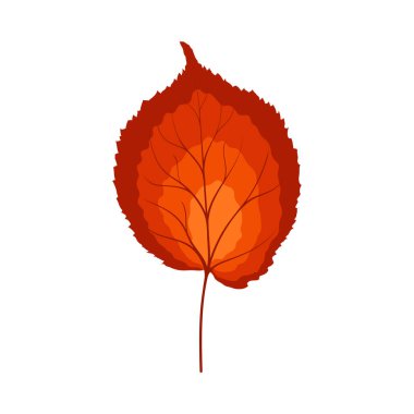 Sonbahar ıhlamur yaprağı. Yaprak düştü. Vektör illüstrasyonu.
