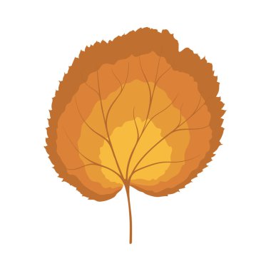 Sonbahar ıhlamur yaprağı. Yaprak düştü. Vektör illüstrasyonu.