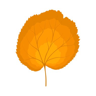 Sonbahar ıhlamur yaprağı. Yaprak düştü. Vektör illüstrasyonu.