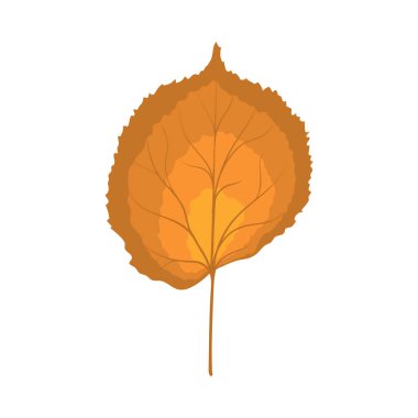Sonbahar ıhlamur yaprağı. Yaprak düştü. Vektör illüstrasyonu.