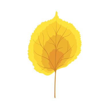 Sonbahar ıhlamur yaprağı. Yaprak düştü. Vektör illüstrasyonu.