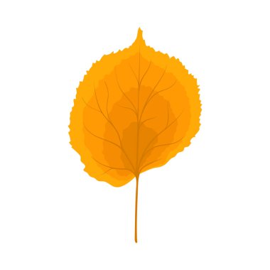 Sonbahar ıhlamur yaprağı. Yaprak düştü. Vektör illüstrasyonu.