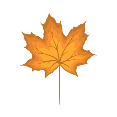 Sonbahar akçaağaç yaprağı. Yaprak düştü. Vektör illüstrasyonu.