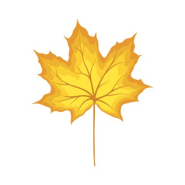 Sonbahar akçaağaç yaprağı. Yaprak düştü. Vektör illüstrasyonu.