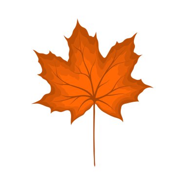 Sonbahar akçaağaç yaprağı. Yaprak düştü. Vektör illüstrasyonu.