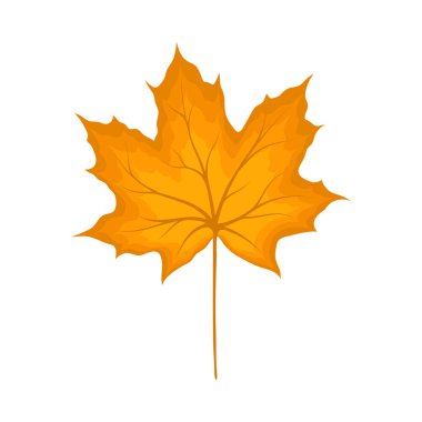 Sonbahar akçaağaç yaprağı. Yaprak düştü. Vektör illüstrasyonu.