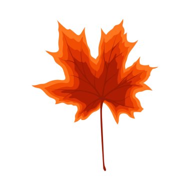 Sonbahar akçaağaç yaprağı. Yaprak düştü. Vektör illüstrasyonu.