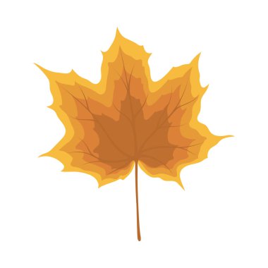 Sonbahar akçaağaç yaprağı. Yaprak düştü. Vektör illüstrasyonu.