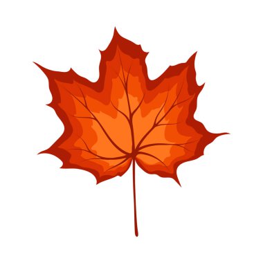 Sonbahar akçaağaç yaprağı. Yaprak düştü. Vektör illüstrasyonu.