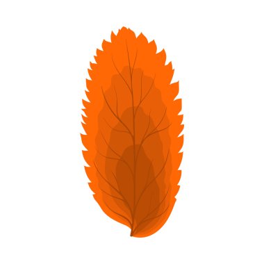 Autumn Rowan yaprağı. Yaprak düştü. Vektör illüstrasyonu.