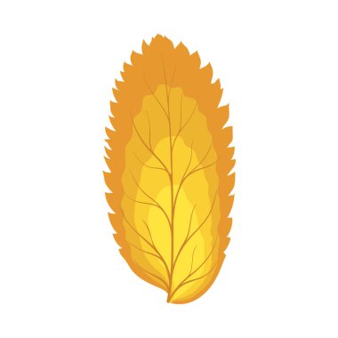 Autumn Rowan yaprağı. Yaprak düştü. Vektör illüstrasyonu.