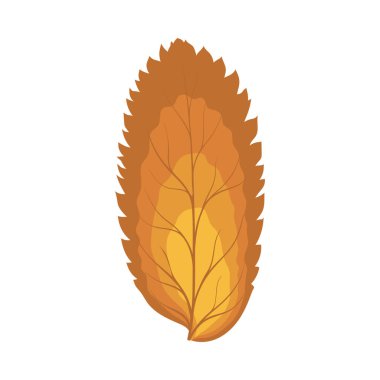 Autumn Rowan yaprağı. Yaprak düştü. Vektör illüstrasyonu.