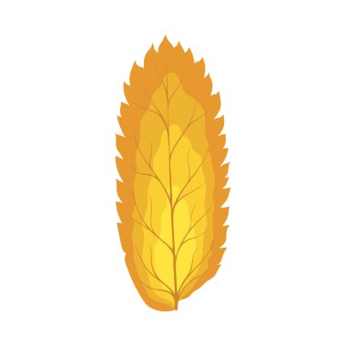 Autumn Rowan yaprağı. Yaprak düştü. Vektör illüstrasyonu.