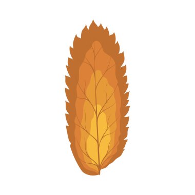 Autumn Rowan yaprağı. Yaprak düştü. Vektör illüstrasyonu.