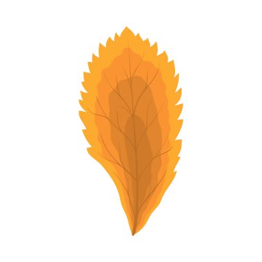 Autumn Rowan yaprağı. Yaprak düştü. Vektör illüstrasyonu.