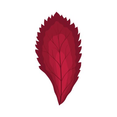 Autumn Rowan yaprağı. Yaprak düştü. Vektör illüstrasyonu.