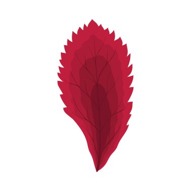 Autumn Rowan yaprağı. Yaprak düştü. Vektör illüstrasyonu.