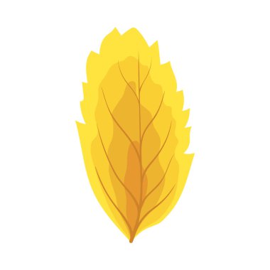 Autumn Rowan yaprağı. Yaprak düştü. Vektör illüstrasyonu.