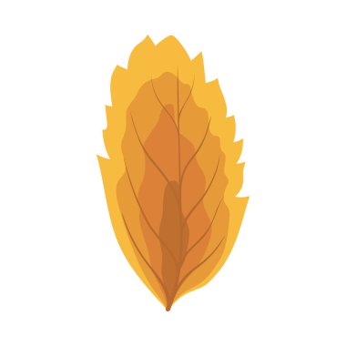 Autumn Rowan yaprağı. Yaprak düştü. Vektör illüstrasyonu.