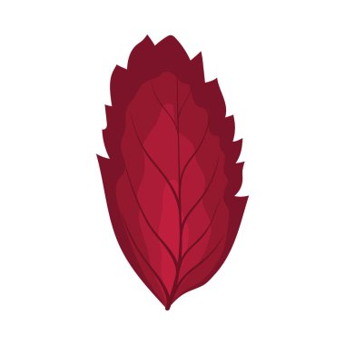 Autumn Rowan yaprağı. Yaprak düştü. Vektör illüstrasyonu.