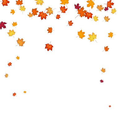 Blowing Maple 'ın Beyaz Arkaplanda Bıraktığı Sonbahar Çerçevesi. Zarif Tasarım. Vektör İllüstrasyonu.