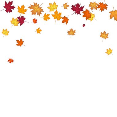 Blowing Maple 'ın Beyaz Arkaplanda Bıraktığı Sonbahar Çerçevesi. Zarif Tasarım. Vektör İllüstrasyonu.