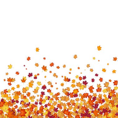 Blowing Maple 'ın Beyaz Arkaplanda Bıraktığı Sonbahar Çerçevesi. Zarif Tasarım. Vektör İllüstrasyonu.