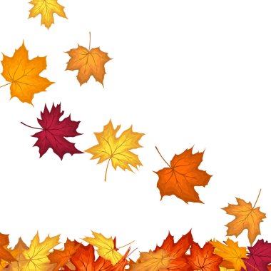 Blowing Maple 'ın Beyaz Arkaplanda Bıraktığı Sonbahar Çerçevesi. Zarif Tasarım. Vektör İllüstrasyonu.