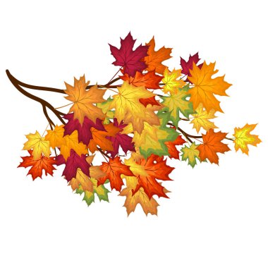 Blowing Maple 'ın Beyaz Arkaplanda Bıraktığı Sonbahar Çerçevesi. Zarif Tasarım. Vektör İllüstrasyonu.