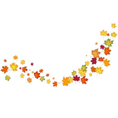 Blowing Maple 'ın Beyaz Arkaplanda Bıraktığı Sonbahar Çerçevesi. Zarif Tasarım. Vektör İllüstrasyonu.